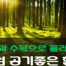 달빛부동산공인중개사사무소 이미지