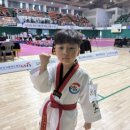 경희대 에이스 태권도 이미지