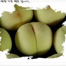 영만농장 이미지