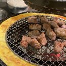 안산갈매기 이미지