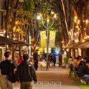 숲속가든캠핑장 이미지