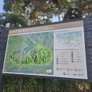 남산금오마을 이미지