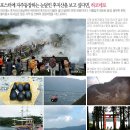 [일본유학]눈덮인 후지산이 보고 싶다면?! ~하코네箱根(야마나시山梨) 이미지