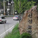 선경농원 Daum카페
