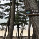 (주)동감투어