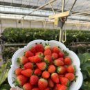 사비농장 이미지