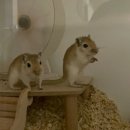 미사늘봄동물병원 이미지