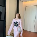 데이지플라워 이미지