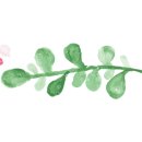 세진커텐장식 이미지