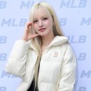 리즈볼