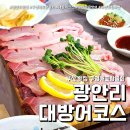 대교김밥 | 부산 광안리 방어 맛집 (feat. 구명애포항물회 + 방어김밥 )