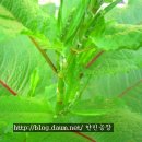 한민농장 이미지