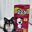 (주)펫둥이 | 전주무인펫샵 견생냥품 애견용품점 혁신도시점 다녀왔어요!