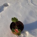 박경자농장 이미지