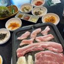 돈돼지맛돼지 - 경주시 용담로92번길 42-3 | 돈돼지맛돼지