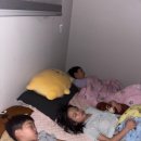 펍마자