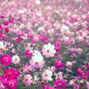 헬렌영어학원 - 오산시 운암로 121 | 헬렌영어학원