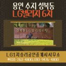 LG1차승리공인중개사사무소 이미지