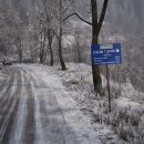 (주)로얄타이어 이미지