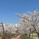 비에이치씨(BHC)부암점