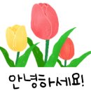 전주 두피관리 끝판왕, 하라힐즈 하가점