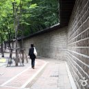 돌담길 이미지
