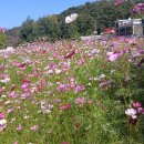 봉일천4리 이미지