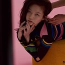 톰그레이하운드 이미지