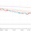 신도메디칼 이미지