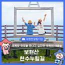 보현산권역정각마을 | 더위를 피해 숲으로 떠난 날, ‘보현산 천수누림길’의 매력에 빠지다!