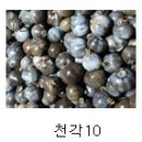 약명