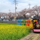 영락제과 이미지