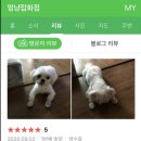 멍냥잡화점 이미지