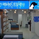 에버펫동물병원 이미지
