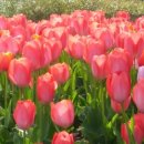 동산어린이공원 화장실 이미지