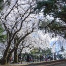 용산열린공인중개사사무소 이미지