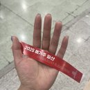 (주)나온소프트 | 2025 케이펫페어 메가주 펫페어, 첫 날 오픈런 후기(꿀팁/제품추천)