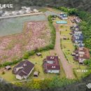 제부포레스트 이미지