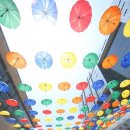 그늘막21 이미지