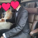 부부카서비스 이미지