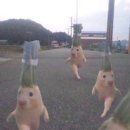 달뜨는바다 네이버블로그