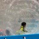 월드용인대석사태권도 이미지