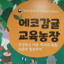 에코농장 네이버블로그