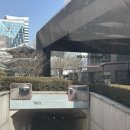 #웨스틴 조선 서울 객실 후기 / 남편과 함께 보내는 첫 생일 [The Westin Josun Seoul] 디럭스 킹베드...