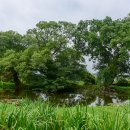 여주-0767 Daum카페