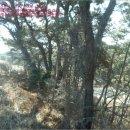 포항시남구56 이미지