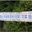 수화목장 이미지