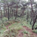 거목축산 이미지