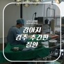 제일동물진단영상센터 이미지