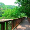 자연과 사람 이미지